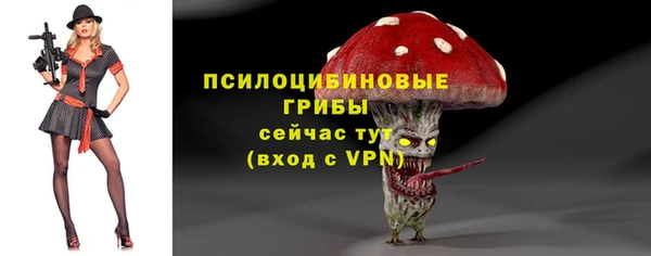 соль курить ск Кадников