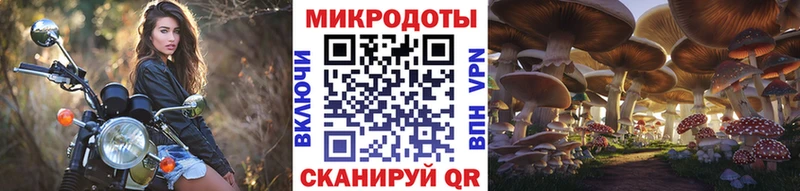 Купить закладки  Камешково  Галлюциногенные грибы мухоморы 